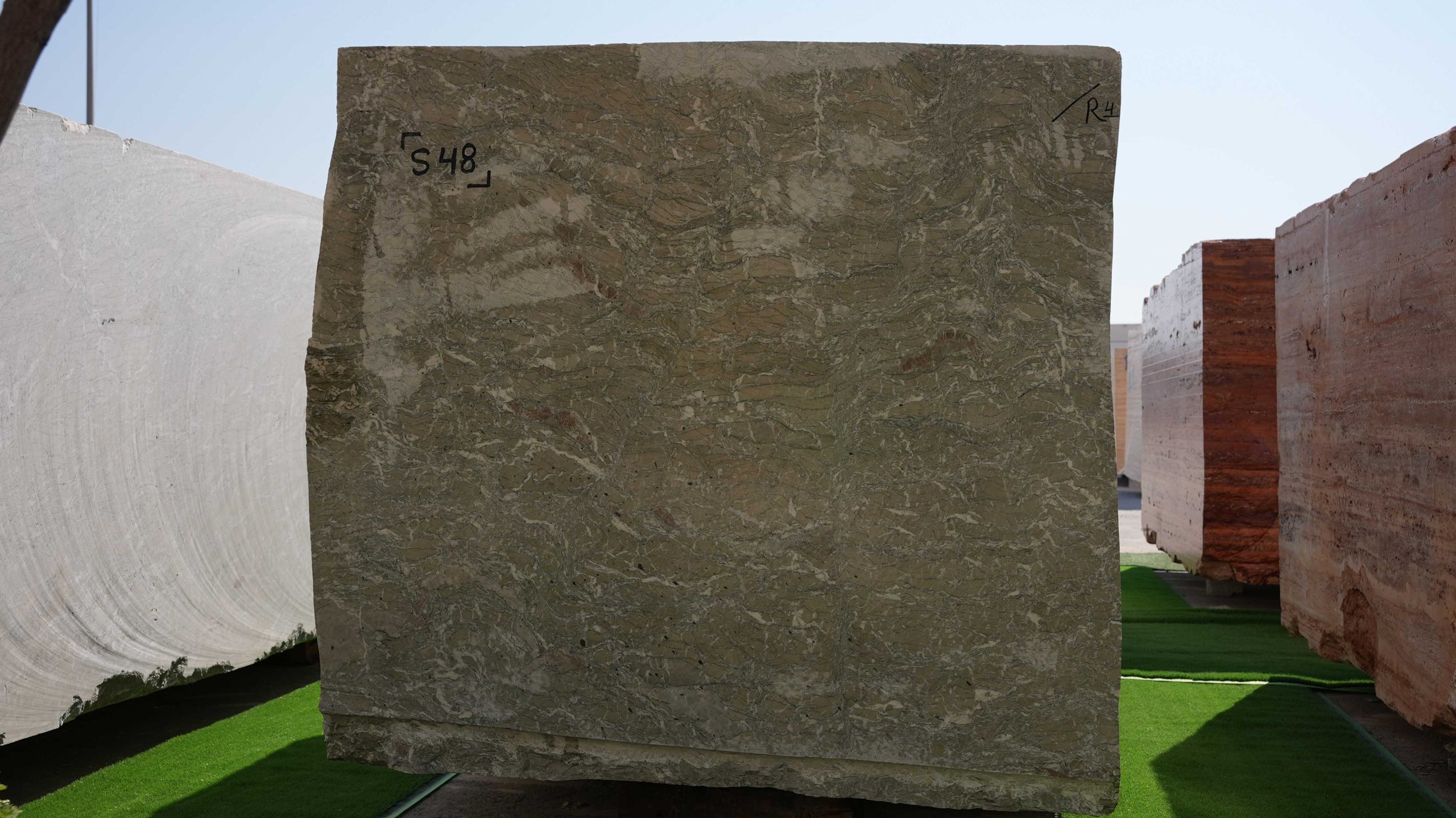 DSC00698